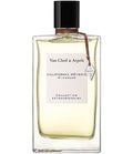 Van Clef & Arpels-California Reverie|Decant