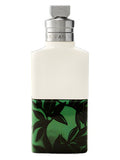 Dries Van Noten – Santal Greenery | Decant